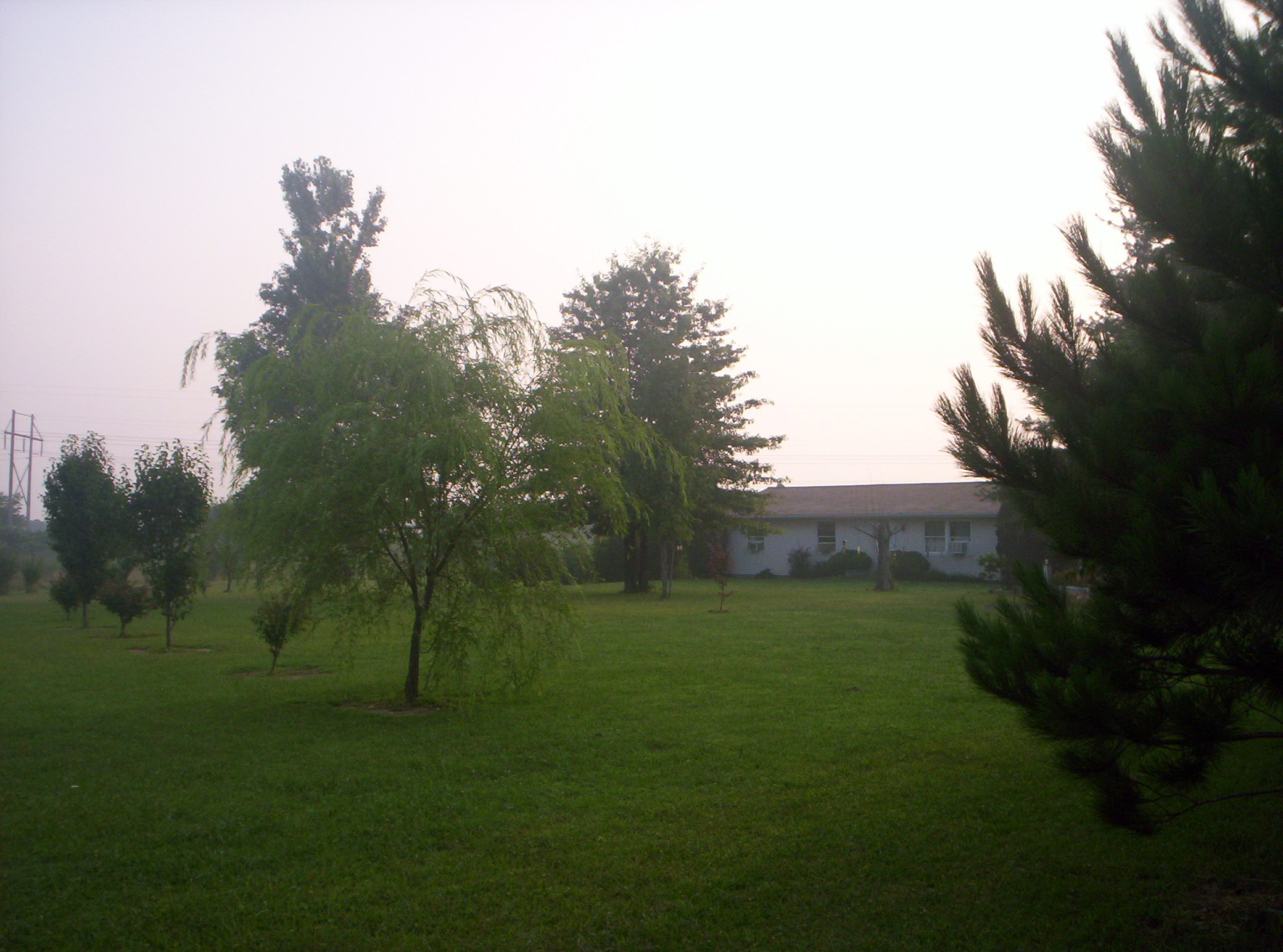20060720024.jpg